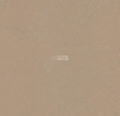 Forbo Marmoleum Decibel on Order 372735 drift фото 1 | FLOORDEALER